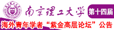 狠狠插入娇嫩南京理工大学第十四届海外青年学者紫金论坛诚邀海内外英才！